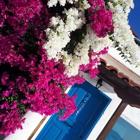 別荘 Jenny's Sea View House Poros Town